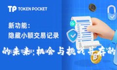 : 中国加密货币的未来：机