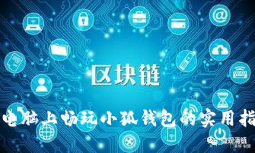 在电脑上畅玩小狐钱包的实用指南