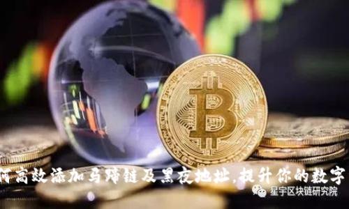 小狐钱包：如何高效添加马蹄链及黑夜地址，提升你的数字资产管理能力