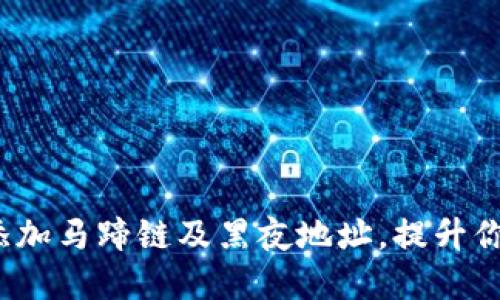 小狐钱包：如何高效添加马蹄链及黑夜地址，提升你的数字资产管理能力
