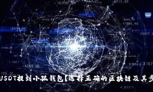 如何将USDT提到小狐钱包？选择正确的区块链及其步骤详解